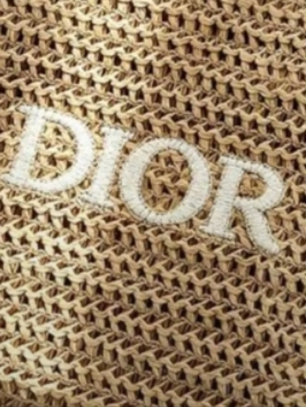 Dior-Logo Raffia Woven Zip Pouch 🤎 - Picture 6 of 6